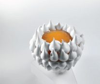 Pavlova shiso japonaise