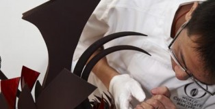 wcm-contestant
