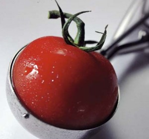 Tomatoe