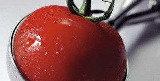 Tomatoe
