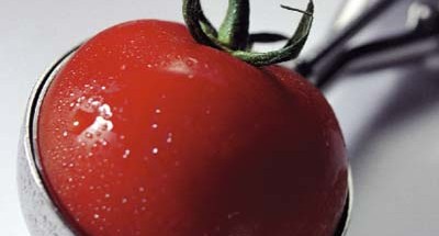 Tomatoe