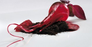 beet