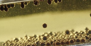 Caviar
