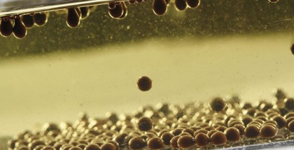 Caviar