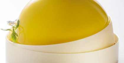 Lemon Tart, by John Kraus