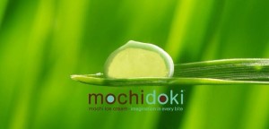Green tea mochi ice cream