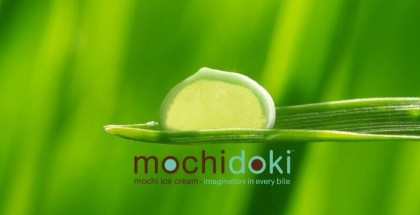 Green tea mochi ice cream