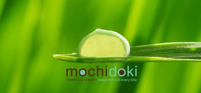 Mochi and churro, the new companions for ice cream