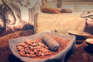 Belgium Chocolate Museum