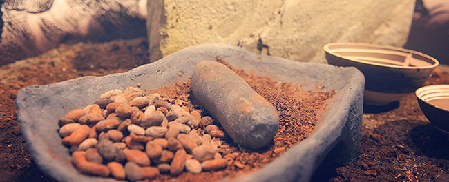 New Chocolate Museum in Belgium