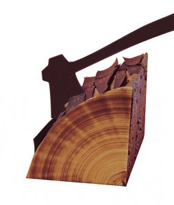 Laurent Le Daniel. The Wood.