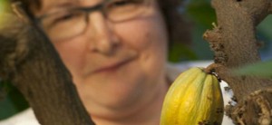 https://trello.com/c/kkgm8c6K/16-el-cacao-en-cuarentena-en-uk