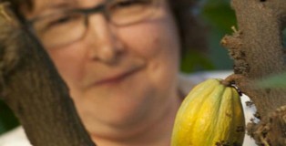 https://trello.com/c/kkgm8c6K/16-el-cacao-en-cuarentena-en-uk