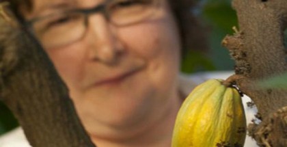 https://trello.com/c/kkgm8c6K/16-el-cacao-en-cuarentena-en-uk