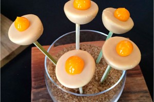 Dulcey chocolate pops from Patrice Demers