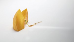 Peach with tarragon and pumpkin seeds