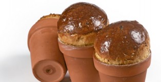 Planted onion brioche by Jose Romero