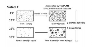 cover chocolate's study UB