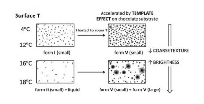 cover chocolate's study UB