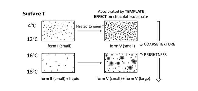 Velvet chocolate crystals in a scientific study