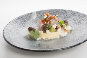 Siedl's dessert Patissier des Jahres
