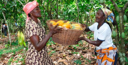 woman cacao