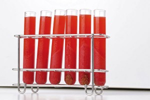 Centrifuged Strawberries