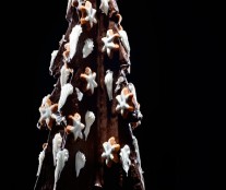 Stars Christmas Tree Ernst Knam