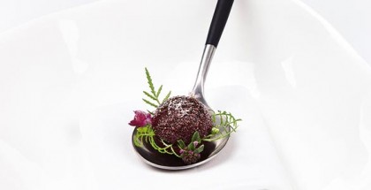 A bite of beet root, by Rasmus Kofoed from Geranium restaurant