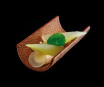 Pear nasturtium modern by William Werner