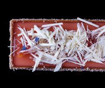 Red grapefruit, coconut, gianduja tart by William Werner