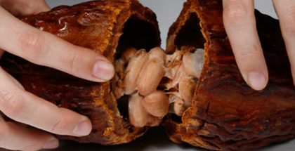 cocoa