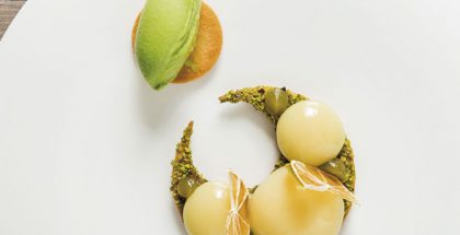 yuzu by andrés morán