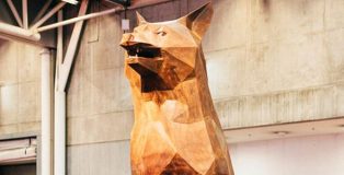 fox