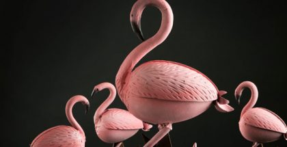 flamingo cover