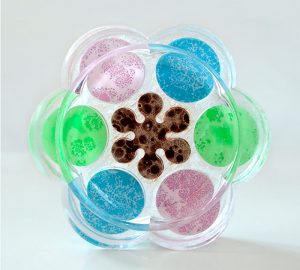 Plexi-flower by Mabilleau