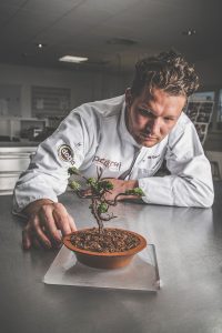 Bart de Gans "Bonsai Entremet"