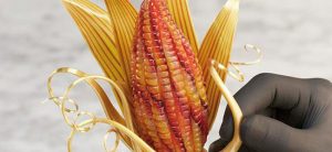 Maize Décor