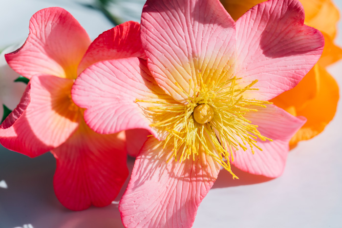 Detail of a sugar flower