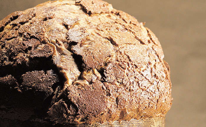 Paco Torreblanca's panettone