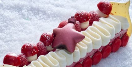 Bûche glacee Frambois'in
