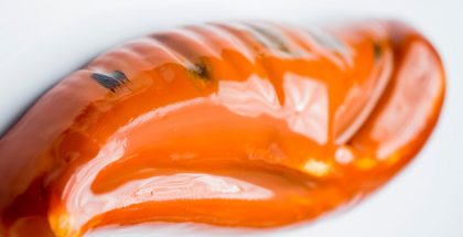 Cédric Grolet Chesnut bûche
