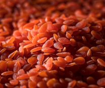 Red Lentils and Carrot nuggets by Bonduelle