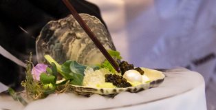 Dobla's oyster close up