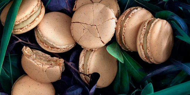 macarons over some leaves