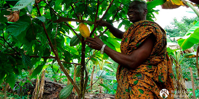 Cocoa Farmers in Ghana