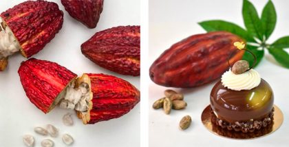 Cocoa fruits