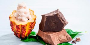 Presentation of the wholefruit chocolate by Barry Callebaut