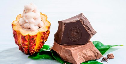 Presentation of the wholefruit chocolate by Barry Callebaut