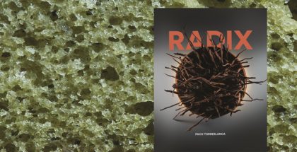 Radix by Paco Torreblanca cover